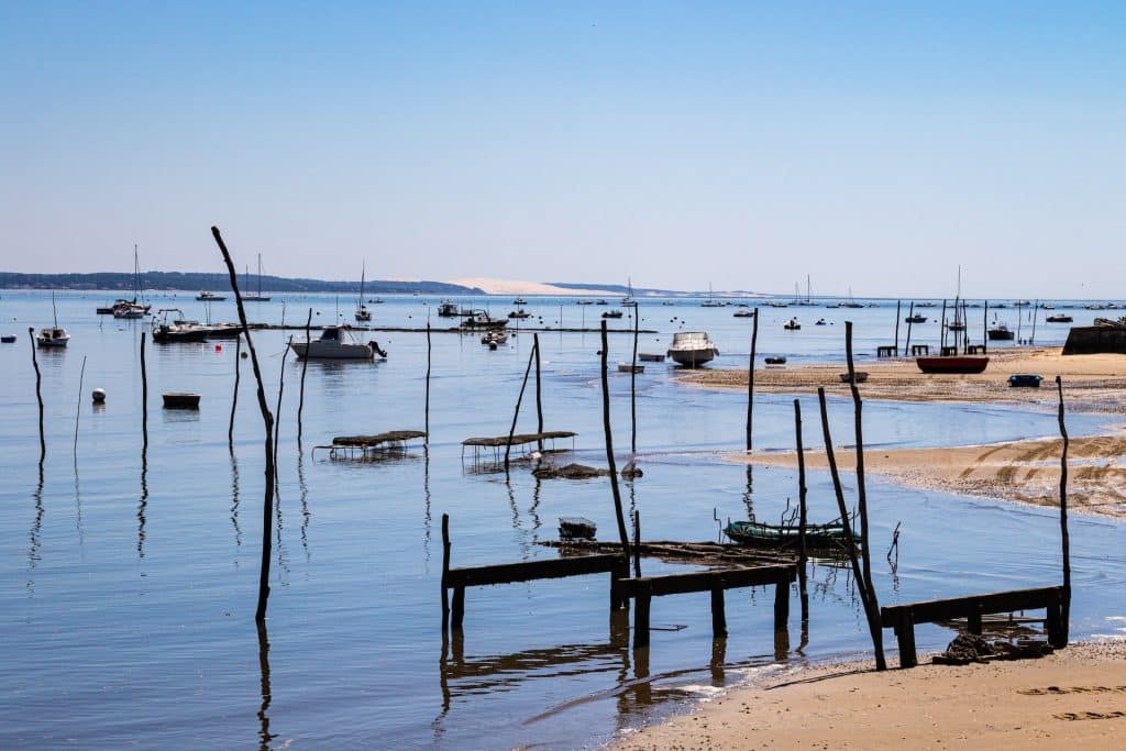 Échappées belles : où se promener dans le bassin d’Arcachon ?